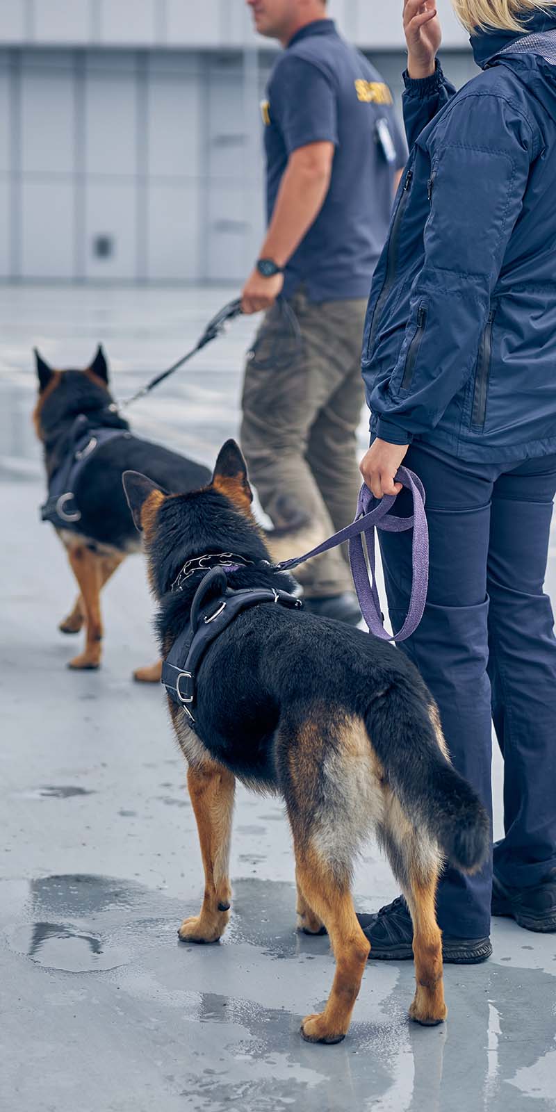 Security handler with K9